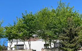 Sweetsuites 40A Lavendelhaus